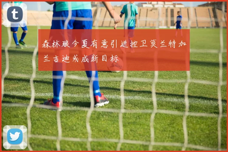 森林狼今夏有意引进控卫莫兰特加兰吉迪或成新目标